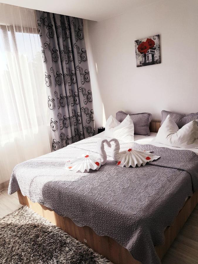 Pensiunea Red Rose Gasthof Timişoara