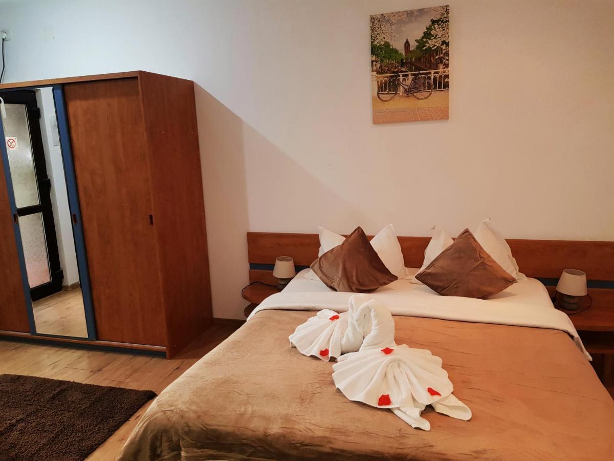 Pensiunea Red Rose 4* Timişoara