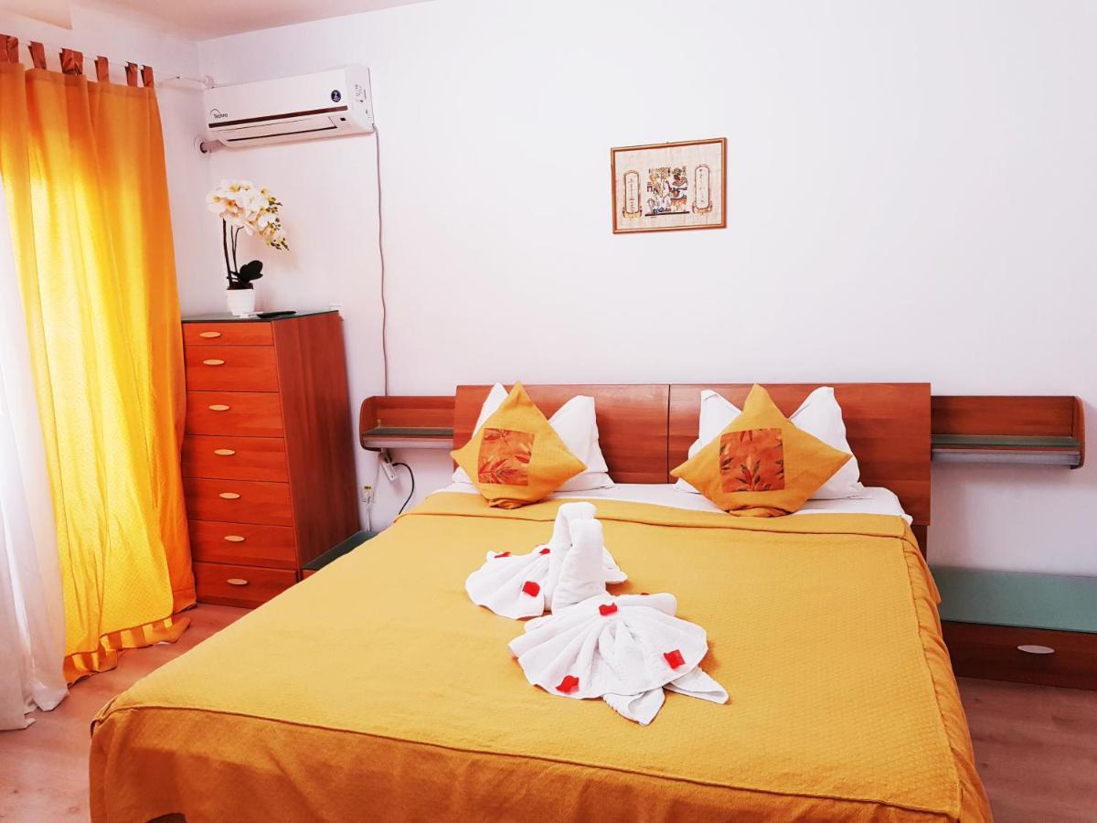 Guest house Pensiunea Red Rose Timisoara