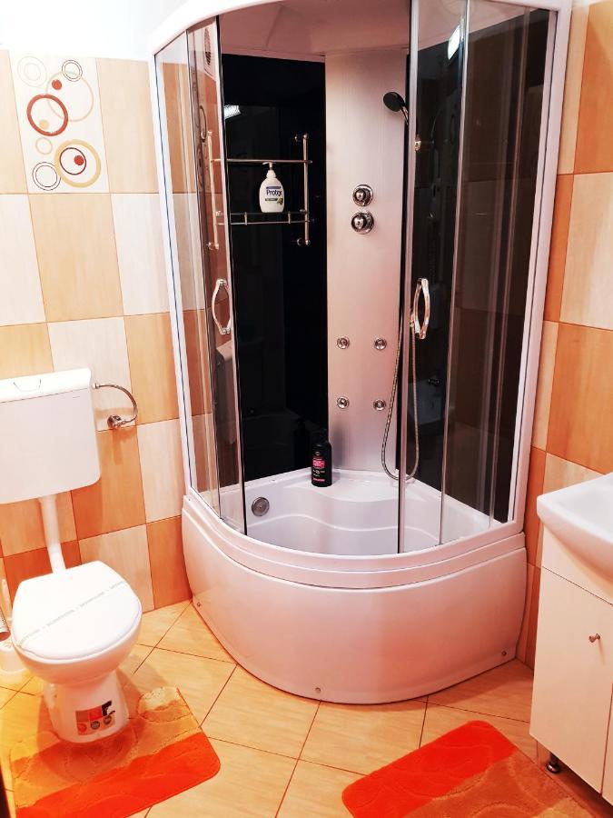 Pensiunea Red Rose 4* Timisoara