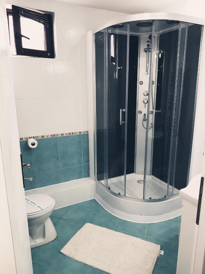 Pensiunea Red Rose 4* Timisoara