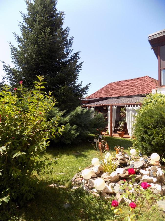 Pensiunea Red Rose Guest house 4*