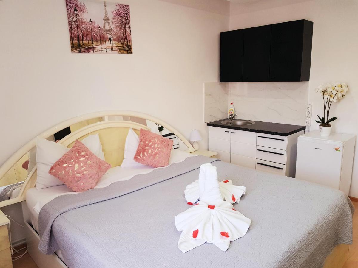 Guest house Pensiunea Red Rose