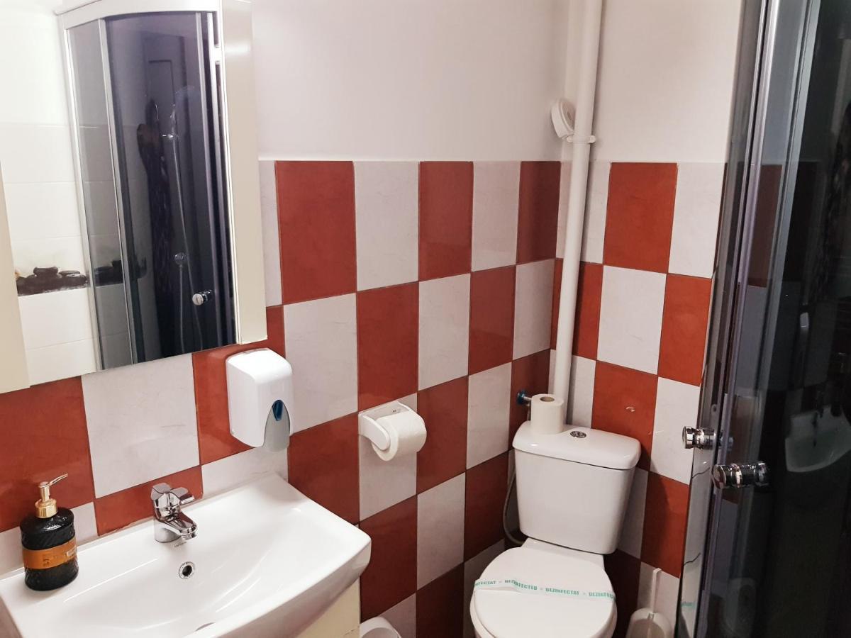 Pensiunea Red Rose Guest house Timisoara