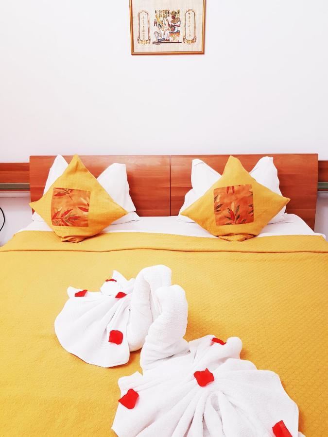 Guest house Pensiunea Red Rose Timisoara