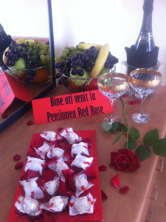 Pensiunea Red Rose Guest house 4*