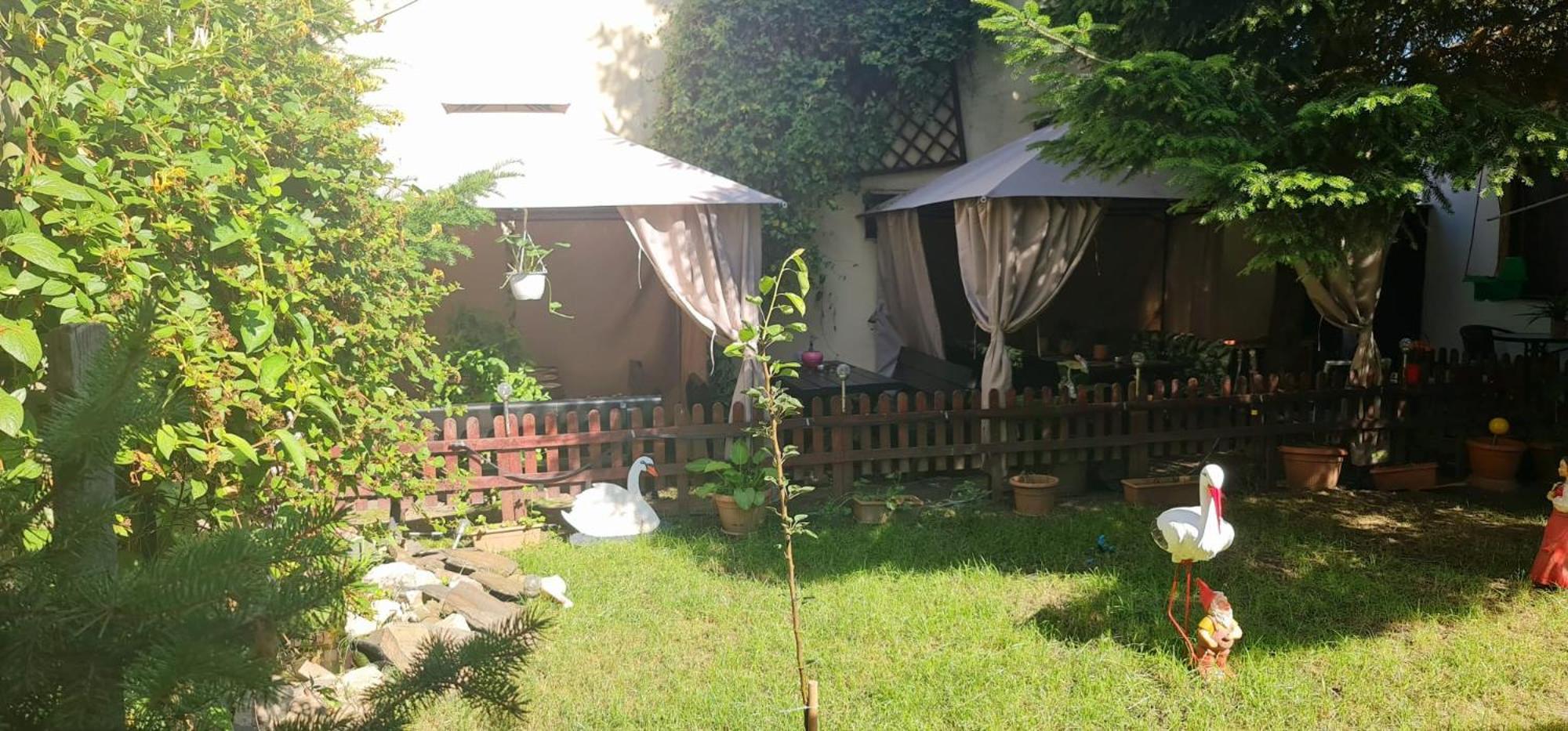 Pensiunea Red Rose Guest house