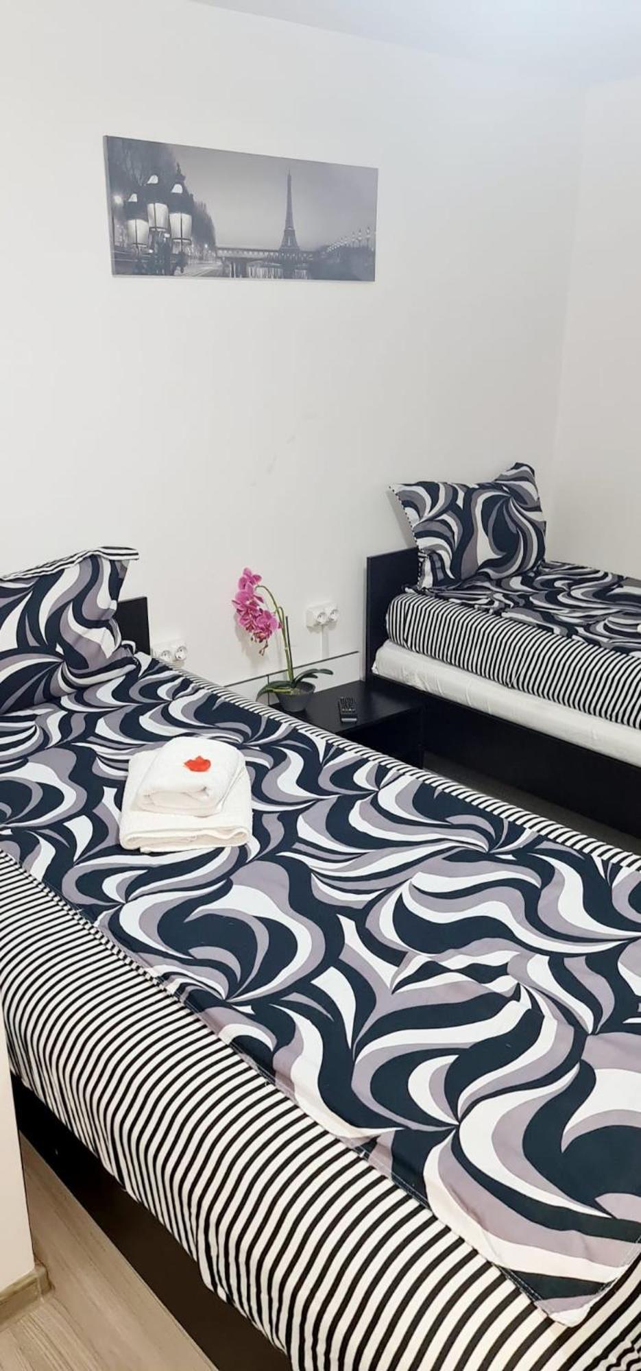 Guest house Pensiunea Red Rose 4*