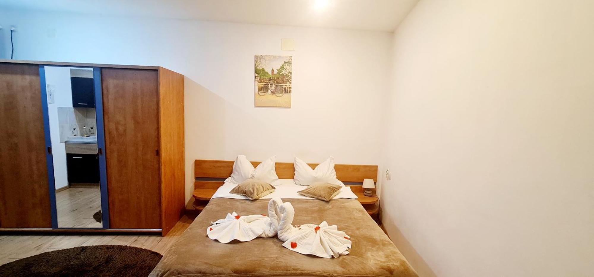 Guest house Pensiunea Red Rose 4*