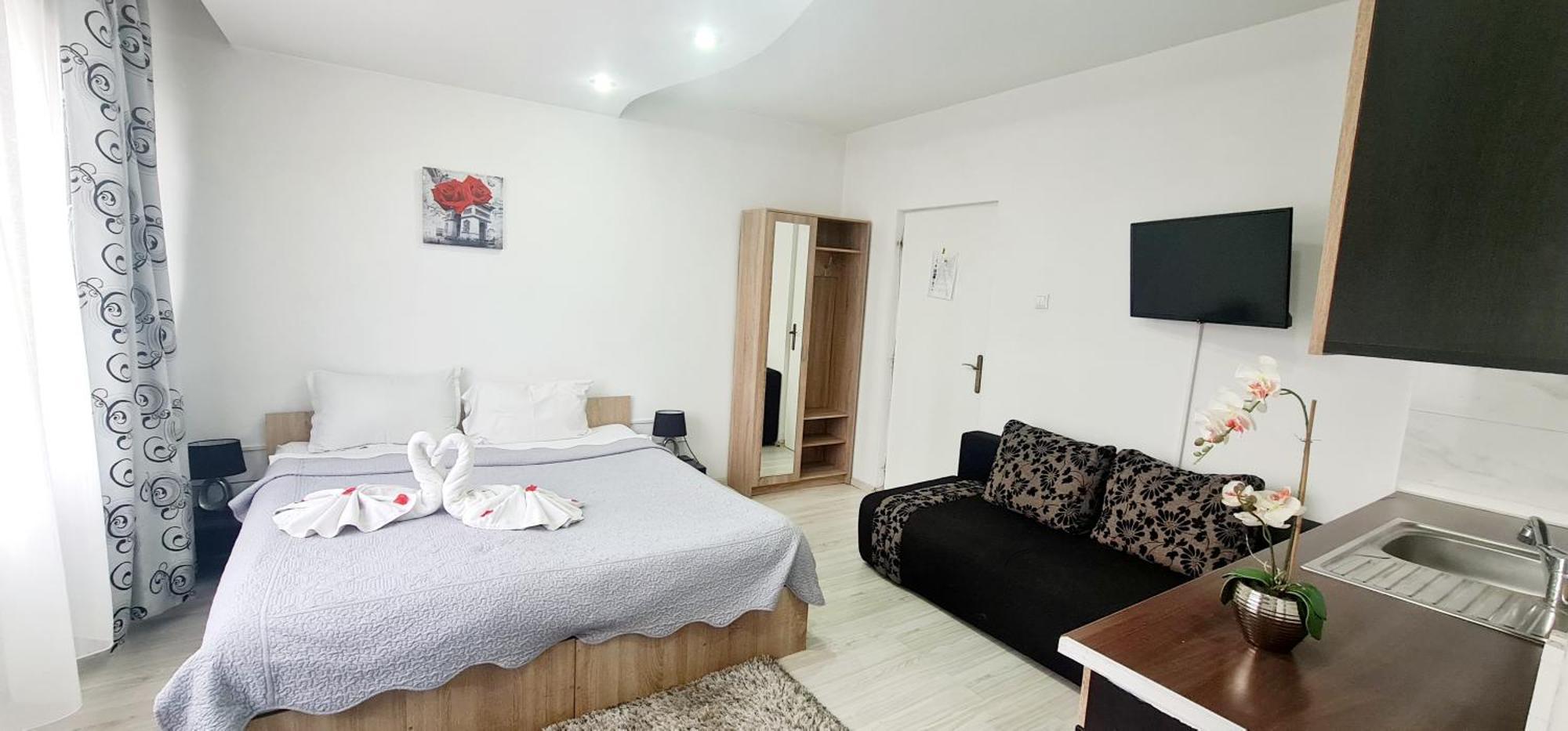 Guest house Pensiunea Red Rose Timisoara