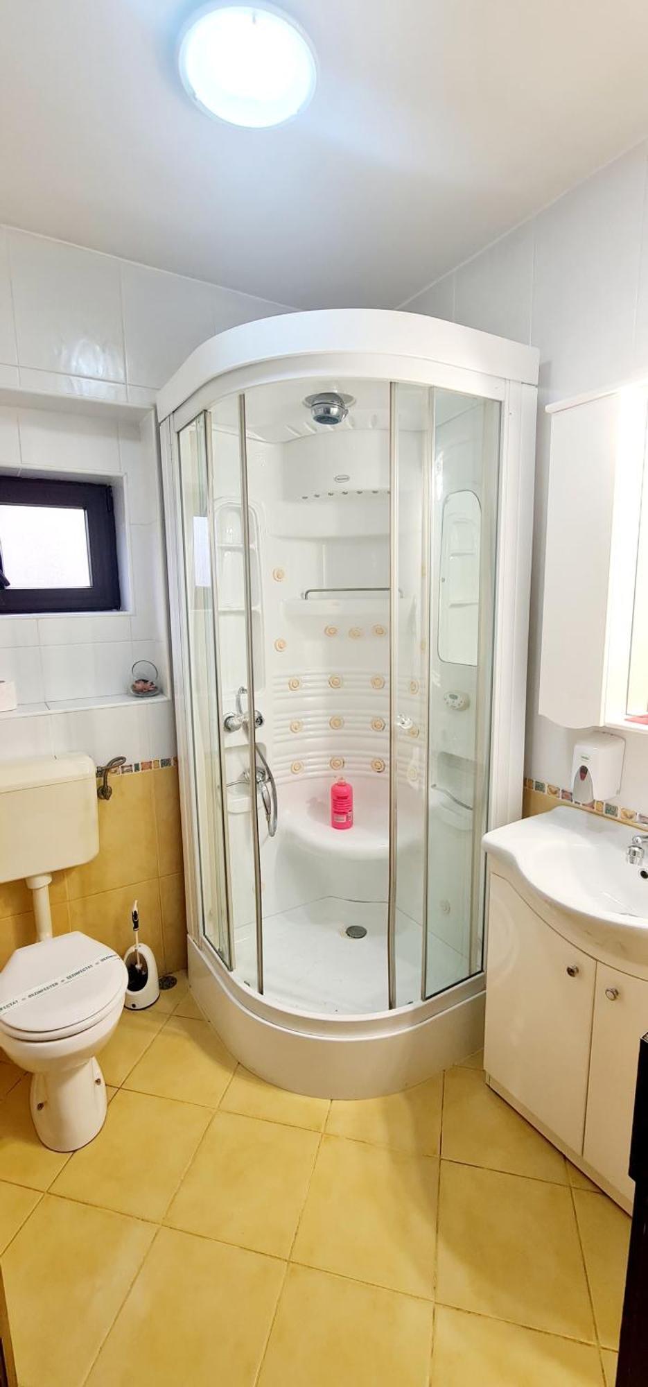 Guest house Pensiunea Red Rose Timisoara