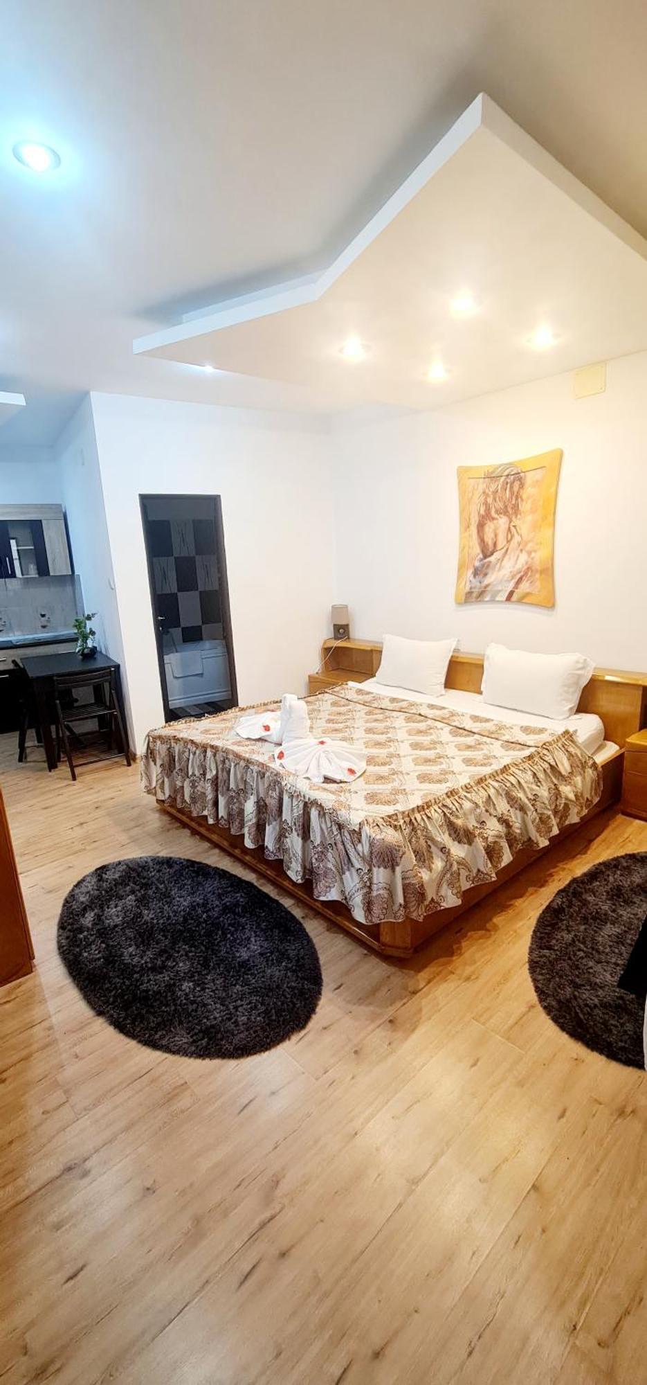 Pensiunea Red Rose 4* Timisoara