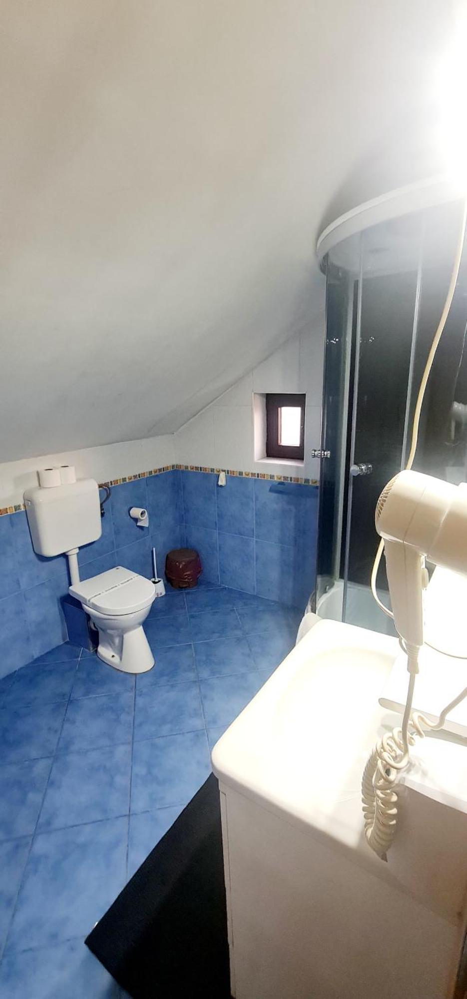Pensiunea Red Rose Guest house 4*