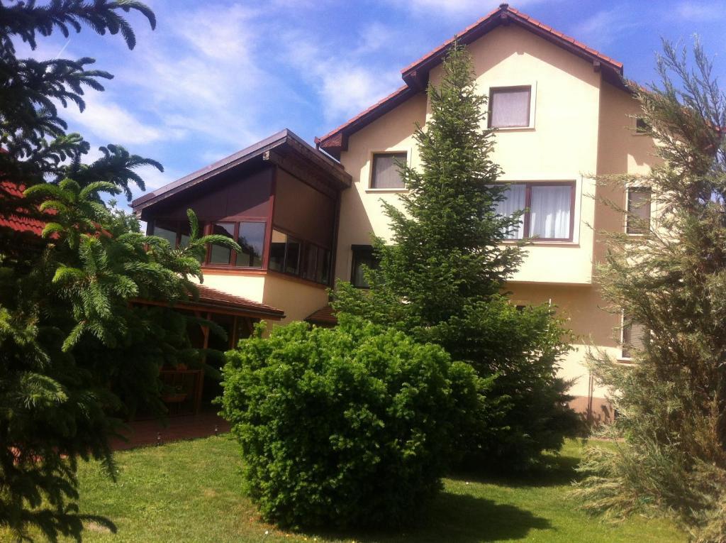 Pensiunea Red Rose Guest house Timisoara