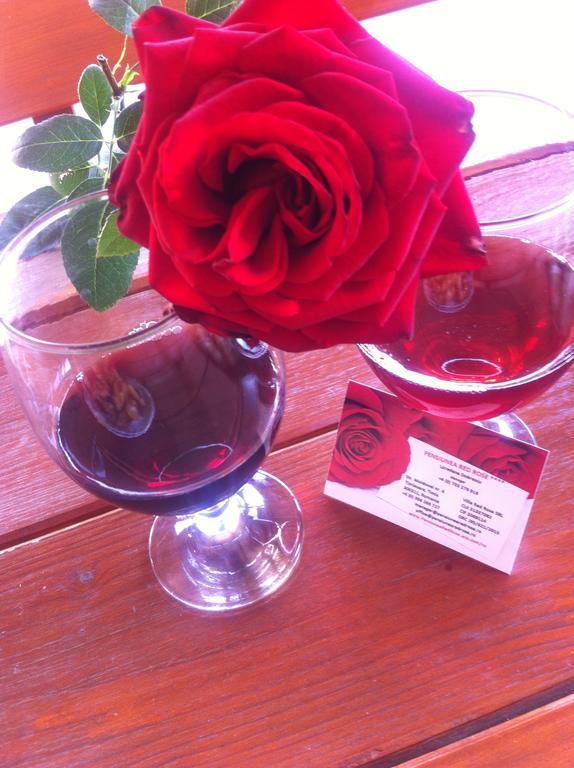 Pensiunea Red Rose 4*