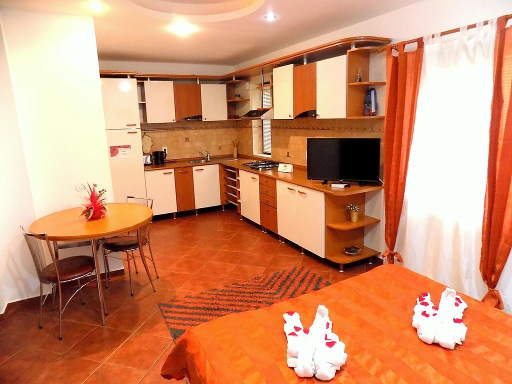 Guest house Pensiunea Red Rose