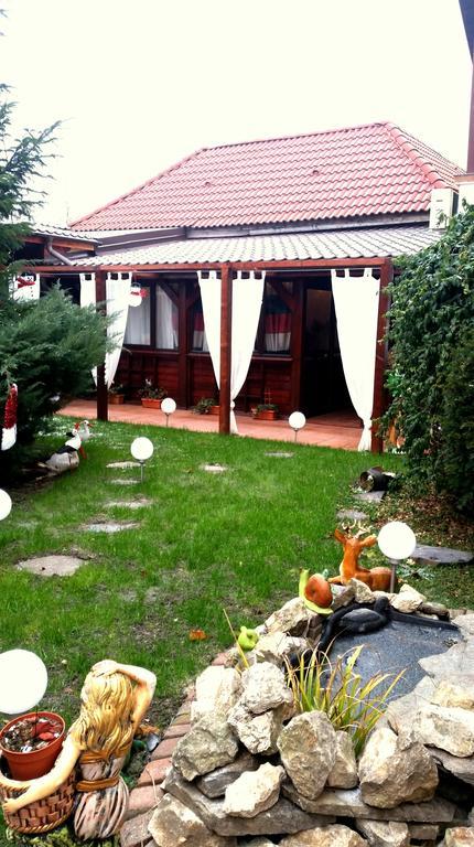 Guest house Pensiunea Red Rose 4*