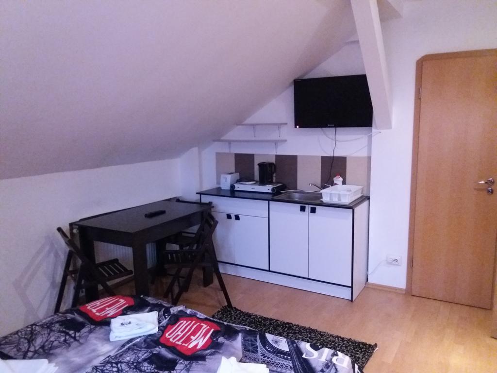 Guest house Pensiunea Red Rose 4*